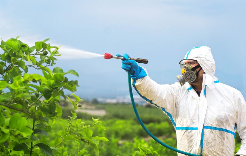 Pest Fumigation Service in Tampa, FL