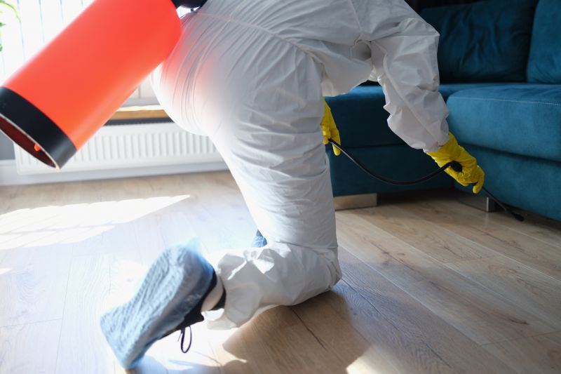 Spider Fumigation Service in Fayetteville, NC