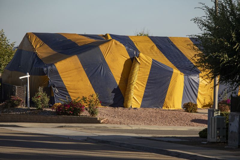 Termite Tenting in Marietta, GA